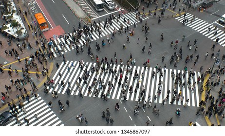 渋谷 スクランブル交差点 の画像 写真素材 ベクター画像 Shutterstock