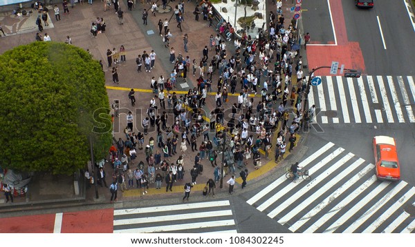SHIBUYA, \
TOKYO,  JAPAN - CIRCA MAY 2018 : Scenery of SHIBUYA big scramble\
crossing area from above in summer\
season.