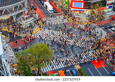 Shibuya, Tokyo, Japan crosswalk and cityscape in the late afternoon.