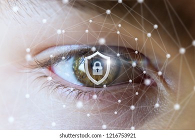 A shield with a padlock inside is placed in the centre of human eye.The concept is the protection and vision system.