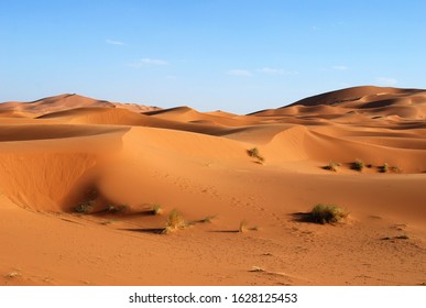 Shifting Sand Dunes Of The Saharan Desert As Dusk Near Erg Chebbi In Morocco