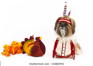 A Shih Tzu, Dressed In An Indian Chest Plate With A Head Band And Feathers, Sits Beside A Stuffed Turkey.