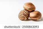 Shiitake mushroom - Lentinula edodes - is an edible mushroom native to East Asia, which is cultivated and consumed around the globe. Asian cooking vegetable food and broth concept.  Isolated on white