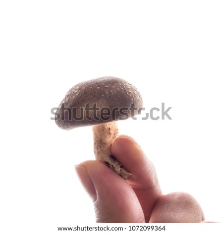 Similar – Image, Stock Photo mushroom Food