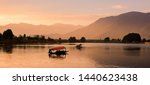 Shikara boats on Dal Lake with Sunset Dal Lake in Srinagar Jammu and Kashmir state India