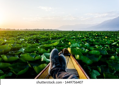 Shikara Ride In Dal Lake