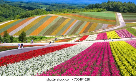 Shikisai-no-oka Farm, Hokkaido, Japan