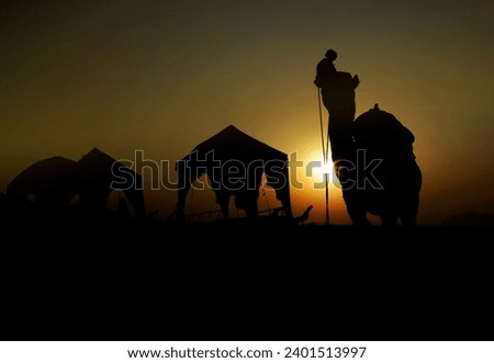  Shilhouette photography in Rajasthan Pushkar Fair