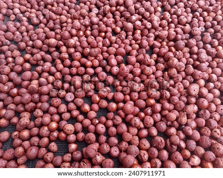 Shimoga Red Arecanut from Karnataka State | 100% Organic Shivamogga Dried Boiled Red Arecanut | Thirthahalli Red Arecanut | Rashi, Appi.
