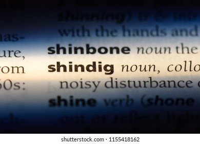 shindig word in a dictionary. shindig concept. - Shutterstock ID 1155418162