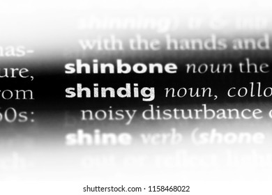 shindig word in a dictionary. shindig concept. - Shutterstock ID 1158468022