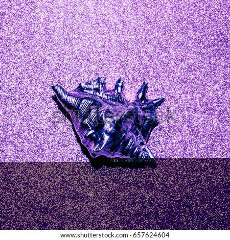 Shine shell. Minimal art design