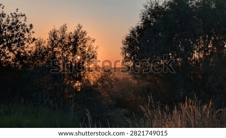 shine, sunset, cloud, summer, spring