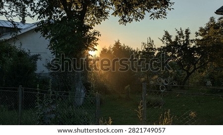 shine, sunset, cloud, summer, spring