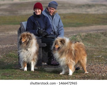 Shingle Street, Suffolk/UK - 13/04/2018 - An Older Couple Walk Two Dogs On A Winter Beach.