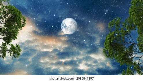 Shining full moon and stars in the night sky. green tree branches. night picture for stretch ceiling decoration
