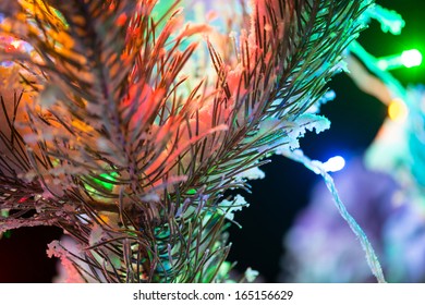 Shining Lights Of A Natural Christmas Tree Covered Snow. New Years Night Black Outdoor Background. Close Up Macro Shoot.