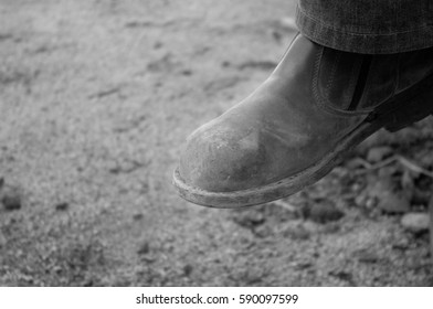 shining shoe