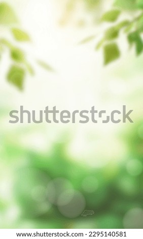 Shining summer background with bokeh and rays of light. Bright colors of a summer day. Heat. sun in sky and sunshine or sunlight flares. shiny blur defocused background with colorful blur. abstract 