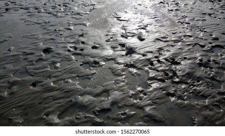 Shining Sunlight On The Mudflat