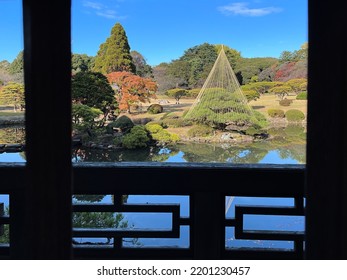 Shinjuku Gyoen Garden In Tokyo