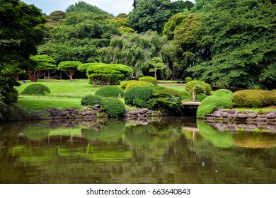 Shinjuku Gyoen National Garden. Tokyo. Japan.