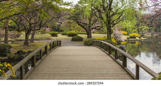 Shinjuku Gyoen, Tokyo, Japan