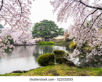 Shinjuku Gyoen In Tokyo, Japan