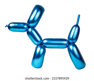 Shiny blue balloon model dog isolated on the white background
