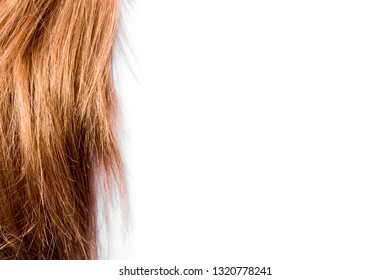shiny and clean light brown hair on white background - Shutterstock ID 1320778241