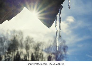 Shiny icicles hanging from roof edge in sunny spring day. Melting water is frozen in cold morning outdoor.