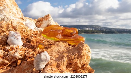 Shiny Orange Baltic Amber Stone On A Rock Against The Sea. Ancient Piece Of Amber Close Up.