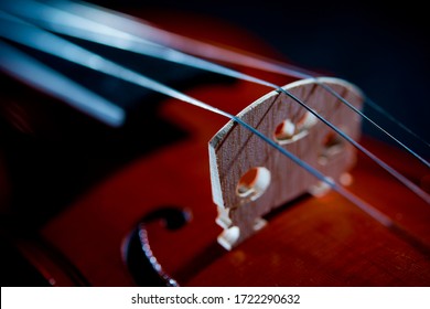 Shiny violin musical instrument portrait