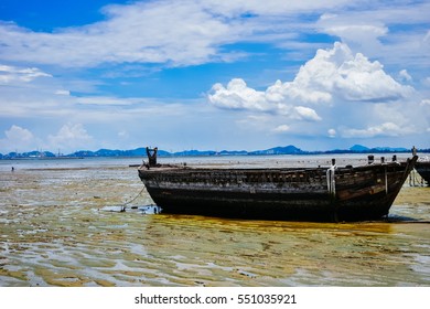 A ship 