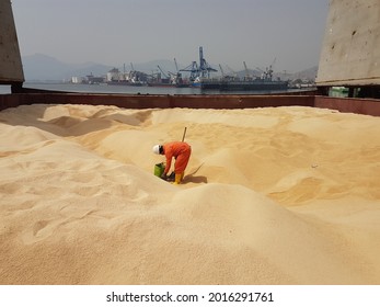A ship crew is collecting damaged or spoiled cargo from cargo hold of a bulk carrier into a bucket