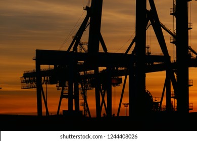 Ship to shore container cranes at sun set