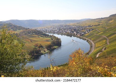 Ship Traveling Through A Bend In The Moselle River With Vineyard In Fall Colors On Both Sides