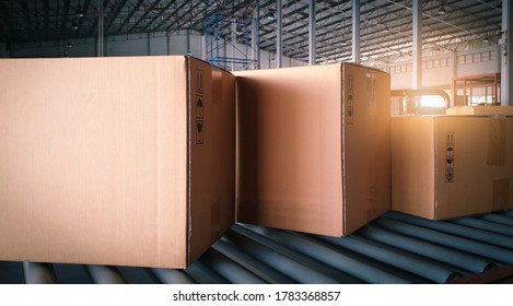 Shipment cardboard boxes, packaging sorting on conveyor belt. Manufacturing Warehouse and delivery shipping goods.
