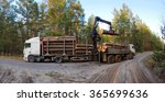 Shipping timber. Loading felled trees in the timber crane.