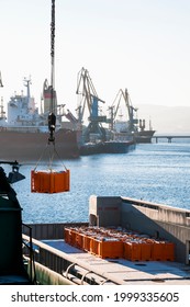 Ships In The Kola Bay (Barents Sea).