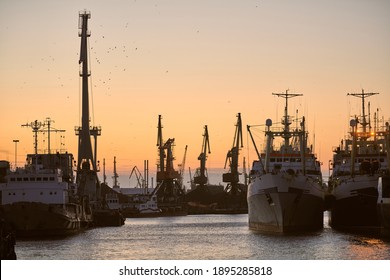 Ships in sea port on sunset background. Scenery industrial landscape with container cranes and vessels.