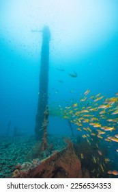 Shipwreck mast underwater with sunspot Coron  - Shutterstock ID 2256534353