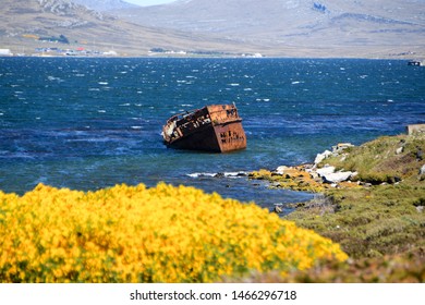 Shipwreck on the Falkland Islands