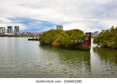 Shipwrecked Ss Ayrfield With Trees, Sydney, NSW, Australia 