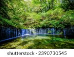 Shiraito Falls in Karuizawa, Nagano Prefecture, Japan
