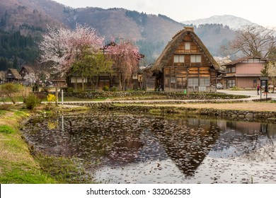 Shirakawa Go (Shirakawa-go) Beautiful Reflection Of The Historic Village And Cherry Blossom Sakura In Spring Season. Shirakawago Traditional Houses In The Gassho Zukuri Style, Gifu, Japan