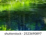 Shirakawa Water Source in Kumamoto Prefecture, Japan