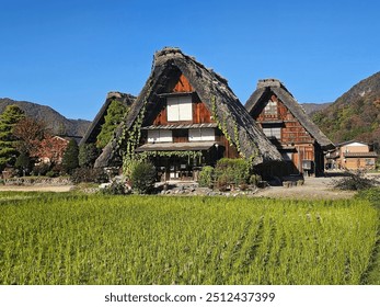 Shirakawa-go is a charming and historic village nestled in the Shogawa River Valley in Gifu Prefecture, Japan. This UNESCO World Heritage Site is renowned for its traditional Gassho-zukuri farmhouses. - Powered by Shutterstock