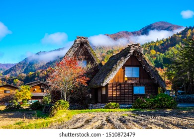 Shirakawago village in autumn with maple, Japan