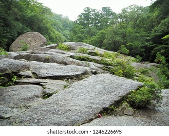 Shiratani Unsuikyo In Yakushima